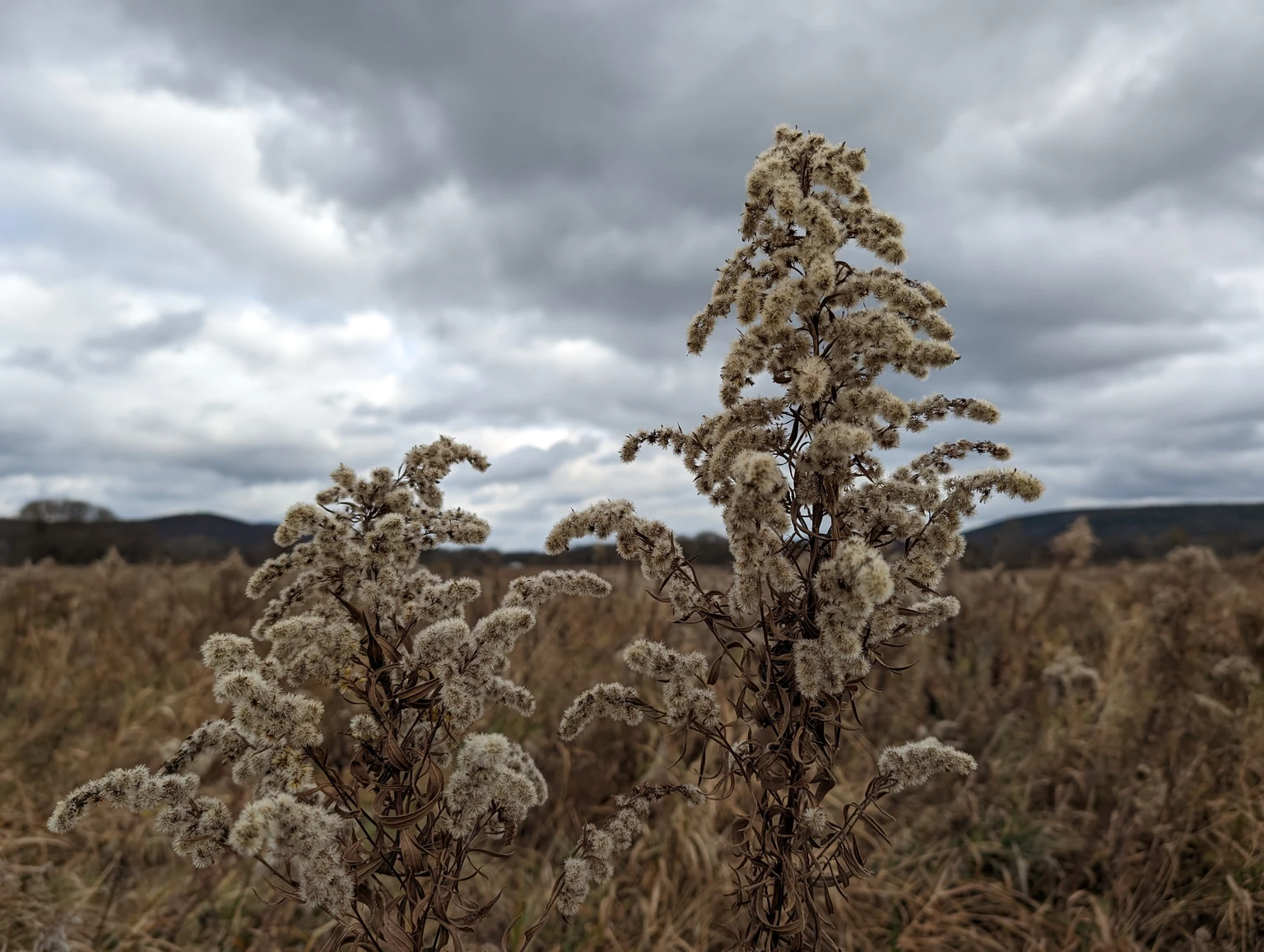 6117 Hyde Flats Road 21   Black Creek, NY 14714